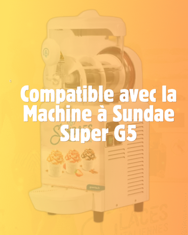 Granita - Carton de Mix Poudre pour Sundae compatible Super G5